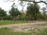 Glenmore Forest park 8000 Wingo Houston, Texas 77055 (5).JPG